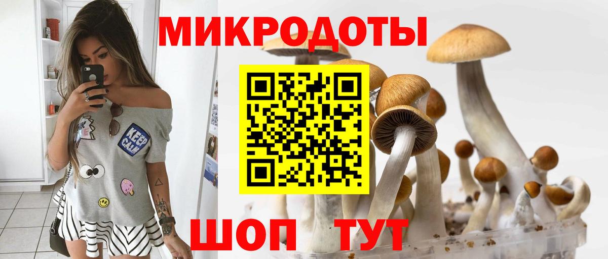 Галлюциногенные грибы GOLDEN TEACHER  Псилоцибиновые грибы Psilocybine cubensis  Вход с VPN  Тимашёвск 