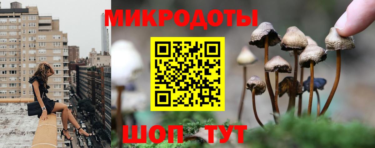Псилоцибиновые грибы мухоморы Тимашёвск